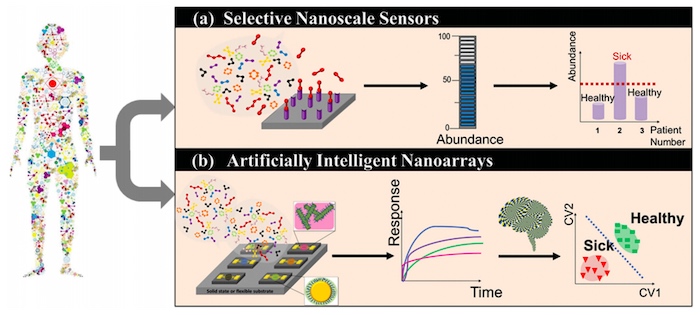 基于纳米材料的传感器检测VOCs以识别疾病的原理图